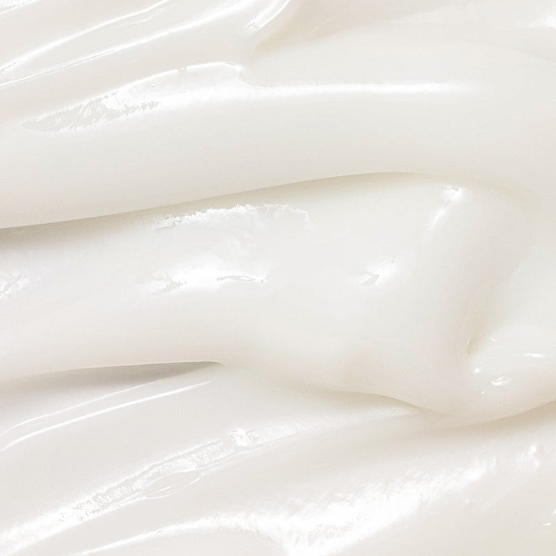 Dynasty Cream with Ginseng Water & Rice Bran — Website_0O8A9462_800x_8dcef7fd-de05-4d28-aeb5-a0662478074e