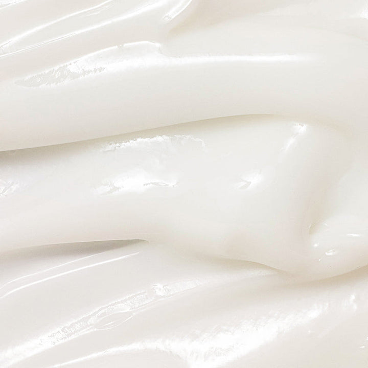 Dynasty Cream with Ginseng Water & Rice Bran — Website_0O8A9462_800x_8dcef7fd-de05-4d28-aeb5-a0662478074e